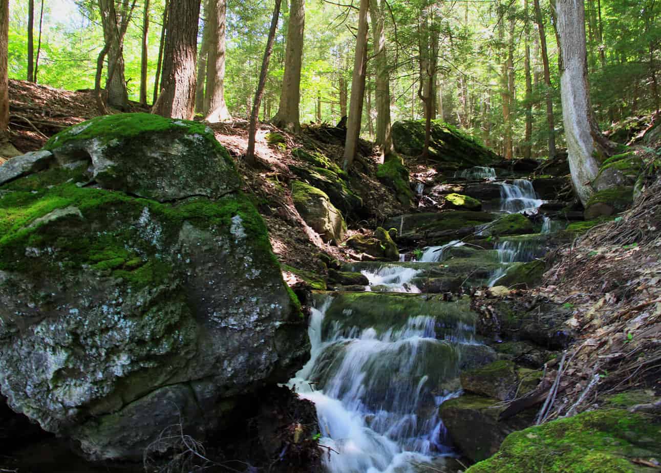 Waterfall at Mountainside Treatment Center in Canaan, CT